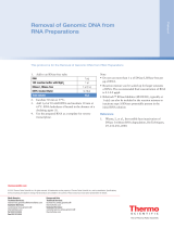 Thermo Fisher ScientificRemoval of Genomic DNA