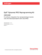 Thermo Fisher ScientificEpi5 Episomal iPSC Reprogramming Kit