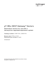 Thermo Fisher ScientificpT-REx-DEST31 Gateway Vector