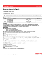 Thermo Fisher ScientificExonuclease I