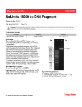 Thermo Fisher ScientificNoLimits 15000 bp DNA