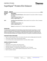 Thermo Fisher ScientificSuperSignal Western Blot