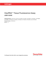 Thermo Fisher ScientificViewRNA Tissue Fluorescence Assay