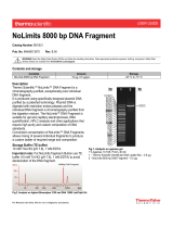 Thermo Fisher ScientificNoLimits 8000 bp DNA