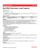 Thermo Fisher ScientificBsm DNA Polymerase, Large