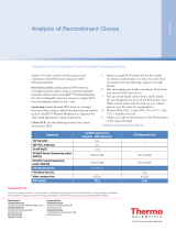 Thermo Fisher ScientificAnalysis of Recombinant Clones