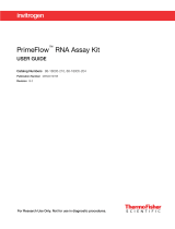 Thermo Fisher ScientificPrimeFlow RNA Assay