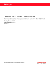 Thermo Fisher ScientificJump-In T-REx CHO-K1 Retargeting Kit