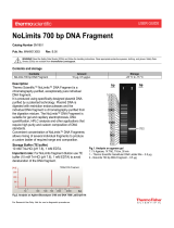 Thermo Fisher ScientificNoLimits 700 bp DNA