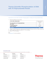 Thermo Fisher ScientificPhosphorylation of DNA