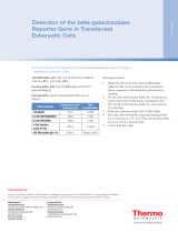 Thermo Fisher ScientificDetect beta-galactosidase Report Gene Transfected Eukaryotic Cells