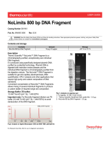 Thermo Fisher ScientificNoLimits 800 bp DNA