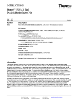 Thermo Fisher ScientificPierce RNA 3'