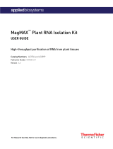 Thermo Fisher ScientificMagMAX Plant RNA Isolation Kit