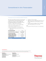 Thermo Fisher ScientificConventional in vitro Transcription