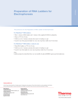 Thermo Fisher ScientificPreparation of RNA Ladders