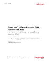 Thermo Fisher ScientificPureLink HiPure Plasmid DNA Purification Kits