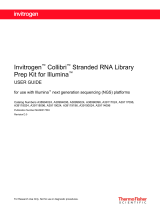 Thermo Fisher ScientificCollibri Stranded RNA Library Prep Kit