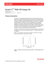 Thermo Fisher ScientificQuant-iT RNA XR Assay Kit