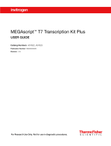 Thermo Fisher ScientificMEGAscript T7 Transcription Kit Plus