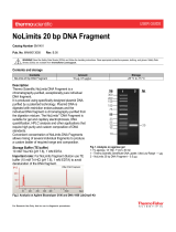 Thermo Fisher ScientificNoLimits 20 bp DNA
