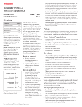 Thermo Fisher ScientificDynabeads Protein A Immunoprecipitation Kit