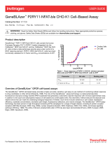 Thermo Fisher ScientificGeneBLAzer P2RY11‑NFAT-bla CHO‑K1 Cell–Based Assay