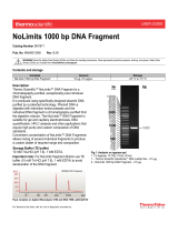 Thermo Fisher ScientificNoLimits 1000 bp DNA