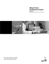 Thermo Fisher ScientificMinigel Protein Electrophoresis System