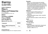 Thermo Fisher ScientificRNase A, DNase and Protease-free