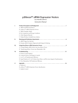 Thermo Fisher ScientificpSilencer&trade; siRNA Expression Vectors