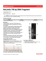 Thermo Fisher ScientificNoLimits 750 bp DNA
