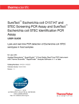 Thermo Fisher ScientificSureTect Escherichia coli O157:H7 and STEC Screening PCR Assay and SureTect Escherichia coli STEC Identification PCR Assay-AFNOR