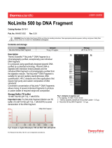 Thermo Fisher ScientificNoLimits 500 bp DNA
