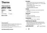 Thermo Fisher ScientificpUC57 DNA