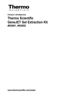 Thermo Fisher ScientificGeneJET Gel Extraction Kit