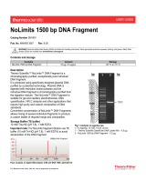 Thermo Fisher ScientificNoLimits 1500 bp DNA