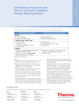 Thermo Fisher ScientificGel Staining Procedure