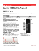 Thermo Fisher ScientificNoLimits 10000 bp DNA