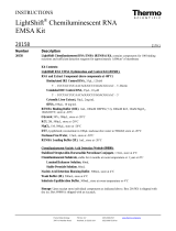 Thermo Fisher ScientificLightShift Chemiluminescent RNA EMSA Kit