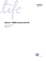 Thermo Fisher ScientificSilencer siRNA Construction Kit