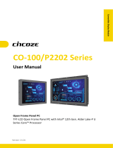 Cincoze CO-100 / P2202 Series User manual