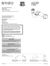 BrizoBT031121-PG