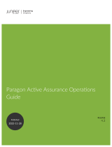 Juniper Paragon Active Assurance (formerly Netrounds) Admin Guide