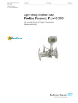 Endres+Hauser BA Proline Prosonic Flow G 300 Operating instructions